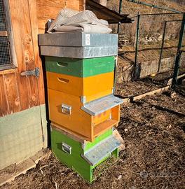 ARNIE dadant fon melario e tetto