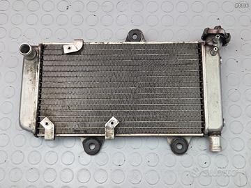 RADIATORE ACQUA YAMAHA XT660R 2004 2016 XT 660 R 2