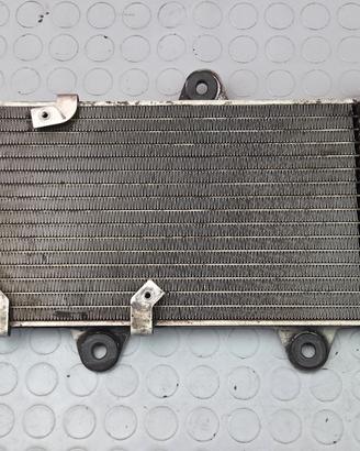 RADIATORE ACQUA YAMAHA XT660R 2004 2016 XT 660 R 2