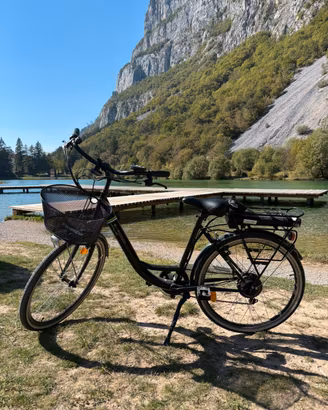 Bici elettrica