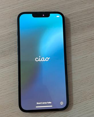 iPhone 13