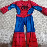 Vestito carnevale 