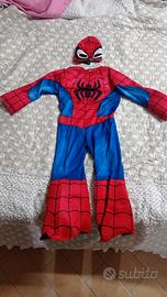 Vestito carnevale 