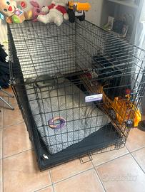 kennel cani