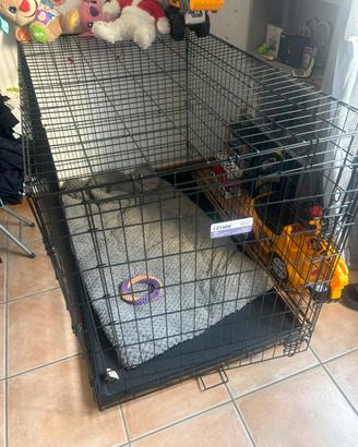 kennel cani