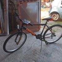 bici bicicletta mtb Errerre