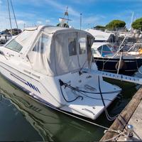 sea ray 29