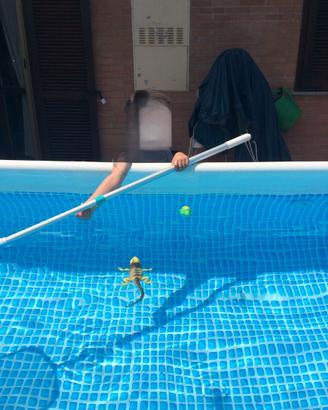 Piscina Intex dimensioni 4 mt x2 mt x 1 mt