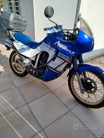Honda transalp 600