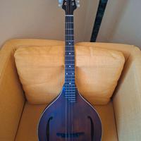 Octave Mandolin MDO305 Mandolino Ottavato nuovo