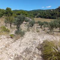 Terreno agricolo seminativo