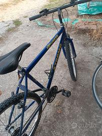Mountain bike