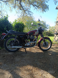 Triumph 650 t120 r tipo america fine anni 60