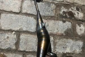 Giannelli per rs4 50