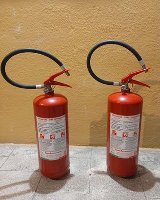 Estintori a polvere 6 kg coppia 