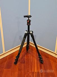 cavalletto manfrotto befree
