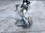 Immagine 12