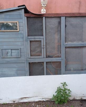 CATIO - gabbia grande per conigli, gatto , etc etc