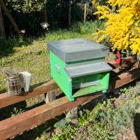 Faglie di api su 8-10 telaini con arnia e melario