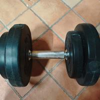 manubrio palestra 10kg