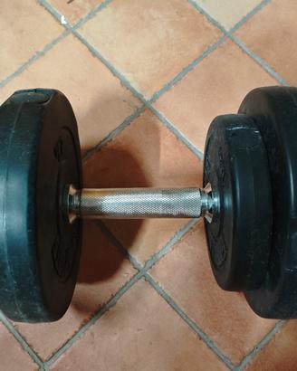 manubrio palestra 10kg