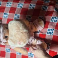 peluche ippopotamo 