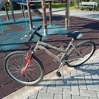 Mountain bike 26