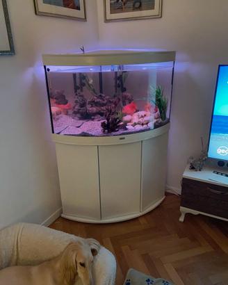 Acquario  completo di mobile ad angolo c.a. 200 l.