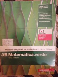 3B matematica verde