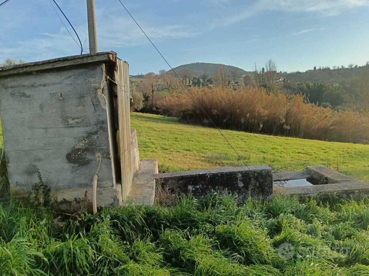 Seminativo a Amelia - Vista 5
