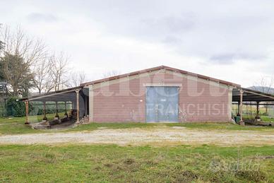 Capannone Industriale Gubbio