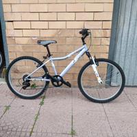 btwin 24 