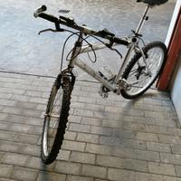 Mtb in alluminio della shiano
