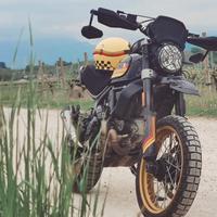 Ducati Scrambler 800 Deserto Sled