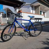 mountain bike