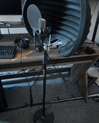 'Aston Microphones Halo Shadow