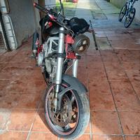 ducati monster 