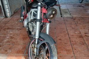 ducati monster 