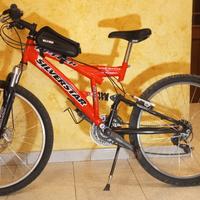 Mountain bike 24