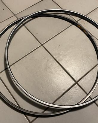 Cerchioni per bici da corsa