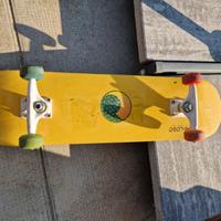 Skate Mini logo