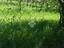Immagine 14