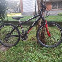 bicicletta