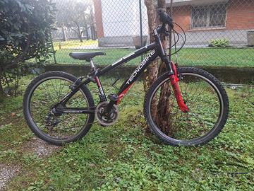 bicicletta