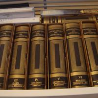 Enciclopedia del 900 Treccani