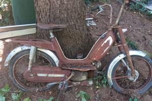 ciclomotore Testi Confort
