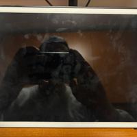 Apple ipad settima generazione