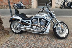 HARLEY