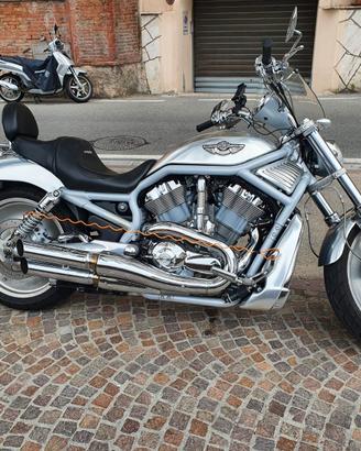 HARLEY