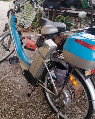 bici pedalata assistita (elettrica) 